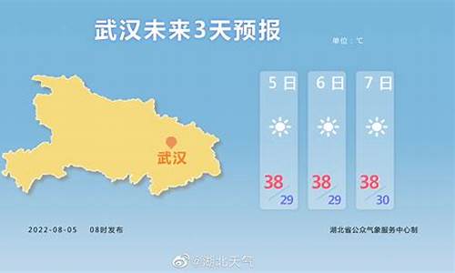 天气预报30天查询武汉天气_武汉天气30天精准