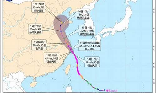 台风预警信号的颜色等级从低到高_气象台发