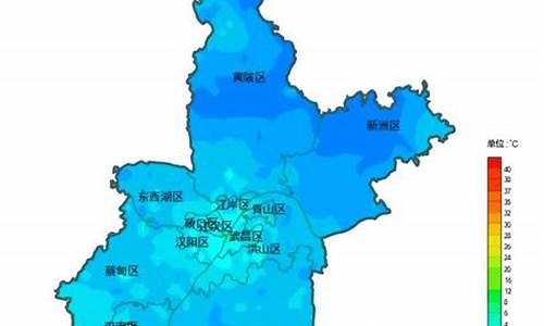 武汉气温天气预报15天_武汉气温天气预报15天查询结果