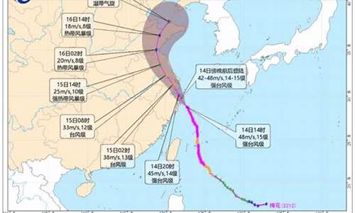 20221年台风_2022年台风预测